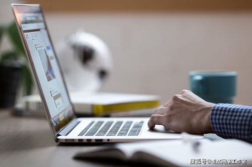 企業(yè)為何必須建設(shè)營銷型網(wǎng)站 提升管理與競爭力的關(guān)鍵