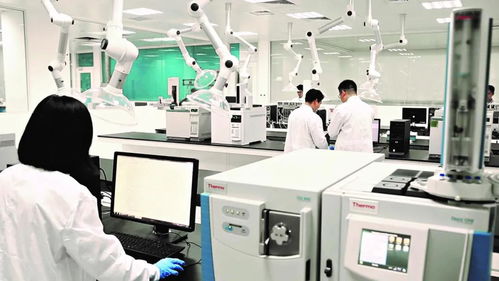 從農(nóng)田到餐桌 康師傅以“食安是企業(yè)的生命線”筑牢品質(zhì)防線