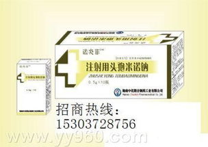 敗血癥科學應對 從識別到治療與康復